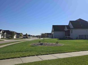 Pat D.'s Lawn Mowing service result