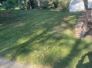 Lindsey H.'s Lawn Mowing service result