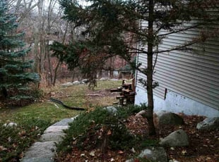 Leaf Removal by Ryan Reitzel for Michael L. in Saint Paul, MN