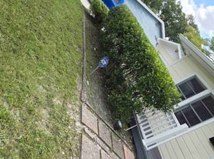 Weeding by Elvis Pintado for Kelly S. in Tampa, FL