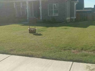 Duane S.'s Lawn Service service result