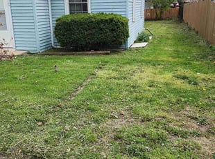 Leaf Removal by David Estrada for Laurence W. in Joliet, IL