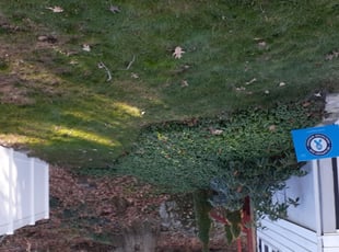 Leaf Removal by Joseph Bartfeld for Joshua P. in Waterbury, CT