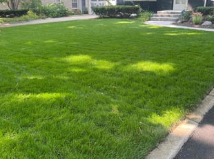Matthew W.'s Lawn Care service result