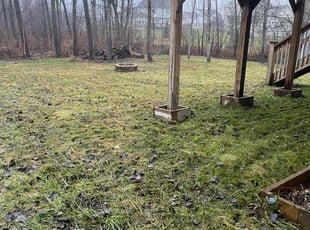 Leaf Removal by Andrew Rotelli for Ashraf a. in Clay, NY