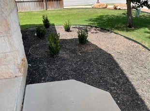 Weeding by Isaiah Fiechtner for Sergio B. in Georgetown, TX