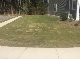 Leaf Removal by Billy Bryant for Venkata P. in Fuquay-Varina, NC