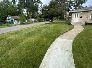 Audrina B.'s Yard Cutting service result