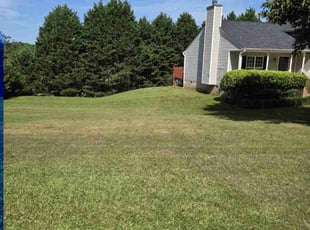 Tracie E.'s Bush Trimming service result