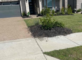 Weeding by Alma Avila for Sarah M. in Wylie, TX
