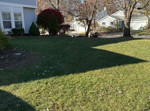 Leaf Removal by Dave Ehrenberg for Jennifer Z. in Columbus, OH