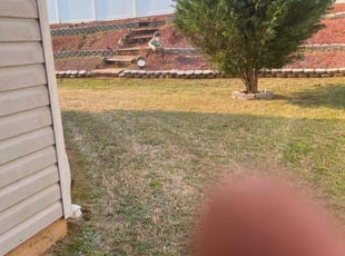 Weeding by John Koonce for Thomas C. in Spartanburg, SC