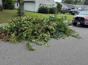 Adam Y.'s Cleanups service result