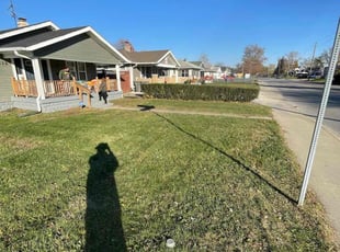 Leaf Removal by Anthony Grant for Taylor W. in Indianapolis, IN