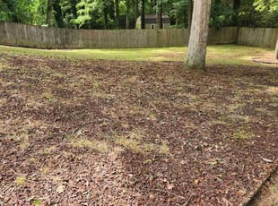 Leaf Removal by Carlos Wright for Victoria S. in Lawrenceville, GA