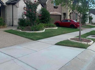 Weeding by Junior G for Hanna k. in Carrollton, TX