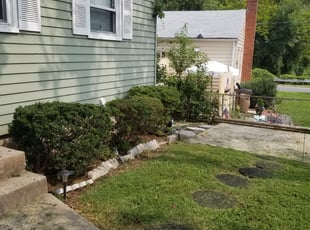 Bush Trimming by Miguel Santos for Joe S. in 4, MD