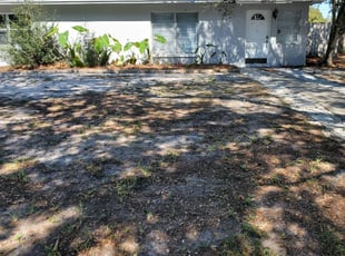 Leaf Removal by Chris Rothermel for Umer Y. in Winter Park, FL