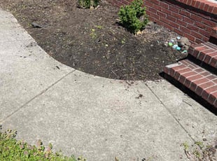 Weeding by Manuel RuizDiaz for Vanessa F. in Knoxville, TN