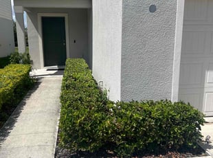 Bush Trimming by Mark Leon for Monique P. in Clermont, FL