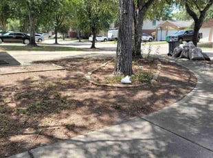 Leaf Removal by Hugo Melgar for Amanda K. in Katy, TX