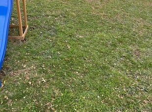 Cleanups by Manuel Perez for Demarco s. in Belleville, IL