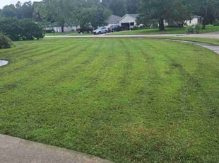 Deborah W.'s Yard Cutting service result