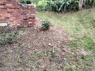 Landscaping by Choncey Stamps for Aaron L. in Parkville, MO