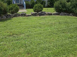 Mike M.'s Yard Cutting service result