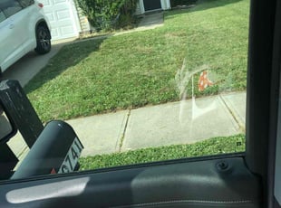 Richard R.'s Lawn Mowing Service service result