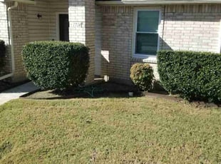 Bush Trimming by Joshua Daley for David V. in Rockwall, TX