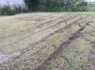 Cleanups by Darnell Stribling for Lilli Ann D. in Cleveland, OH