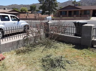 Bush Trimming by Gideon Cook for Pat H. in Phoenix, AZ
