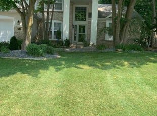 Amy N.'s Lawn Service service result