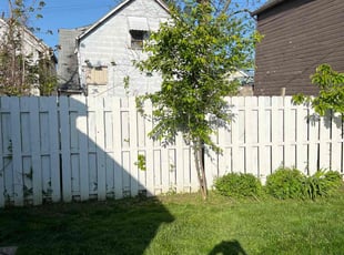 Cleanups by Demetrius Bennett Jr for Emily M. in Cleveland, OH
