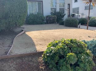 Bush Trimming by William Mendoza for Ed L. in Los Angeles, CA