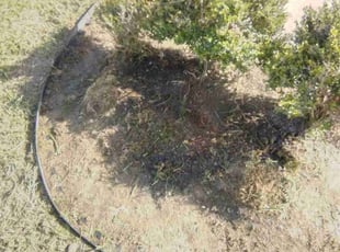 Weeding by Paul Jones for Sabrina T. in Katy, TX
