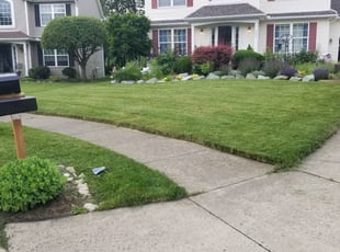 Lelenya K.'s Lawn Service service result