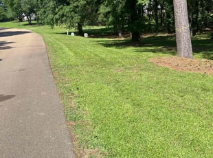 Jenai W.'s Lawn Mowing service result