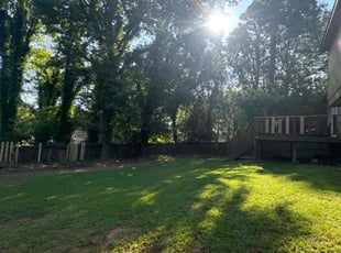 Jasmine C.'s Yard Cutting service result