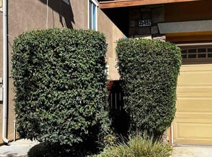 Bush Trimming by Samuel Benavides for Eric D. in Beaumont, CA