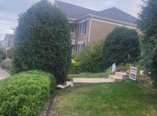 Bush Trimming by Jesus Alvarado for Elle I. in Maple Grove, MN