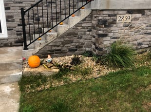 Weeding by Mitch Melum for Isabel P. in Fitchburg, WI