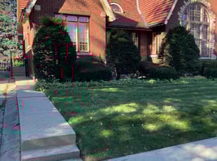 Abbas R.'s Lawn Service service result