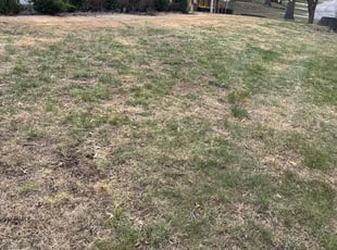 Cleanups by Sedrick Wesley for Katherine D. in Kansas City, MO