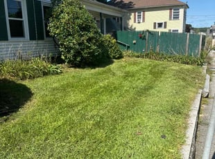 Markia G.'s Lawn Mowing service result