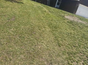 Leaf Removal by Santos Blanco for Claudia M. in Woodbury, MN