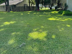 August D.'s Lawn Service service result