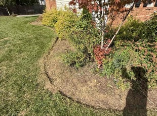 Weeding by Carlos Portillo for Diana L. in Alexandria, VA