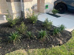 Weeding by Gerardo Marroquin for Jamie B. in Conroe, TX